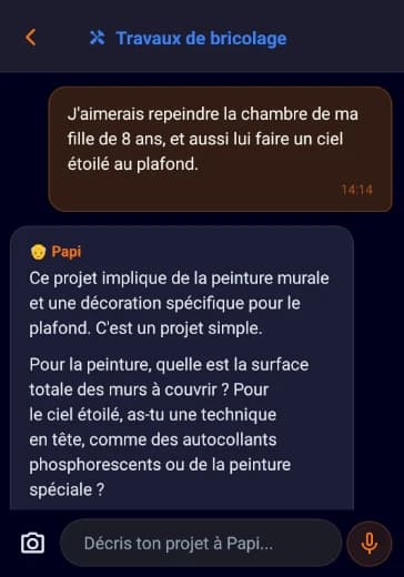 Conversation avec PapiBricole pour décrire son projet