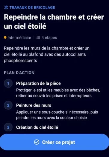 Plan d'action proposé par PapiBricole